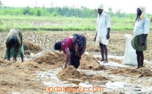 Farmerupdates