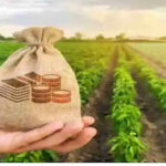 Crop loan: शेतकऱ्यांसाठी खुशखबर!! पीक कर्जाचे ( Crop loan) वाटप सुरू, जाणून घ्या, पीक कर्ज दर (Crop ...