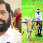 सरकारचा मोठा निर्णय  मिळणार 'इतकी' आर्थिक मदत