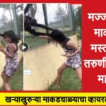 माकडाला चिडवन पडलं महागात माकडचाळे होत आहे Viral