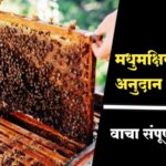 मधुमक्षिका पालन अनुदान योजना असा करा अर्ज घ्या जाणून