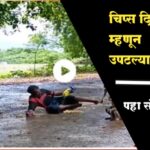चिप्स दिले नाही तर माकडाने केली फजिती व्हिडिओ होतोय व्हायरल