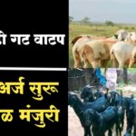 गट शेळी मेंढी पालन योजना जाणून घ्या संपूर्ण माहिती