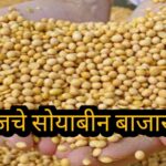 आजचा सोयाबीन बाजारभाव